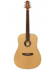 D20SNTM - GUITARRA ACUSTICA ASHTON TAPA SOLIDA EN BRILLO